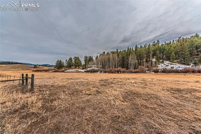 a view of swimming pool with a yard