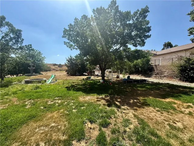 a view of a park with large trees