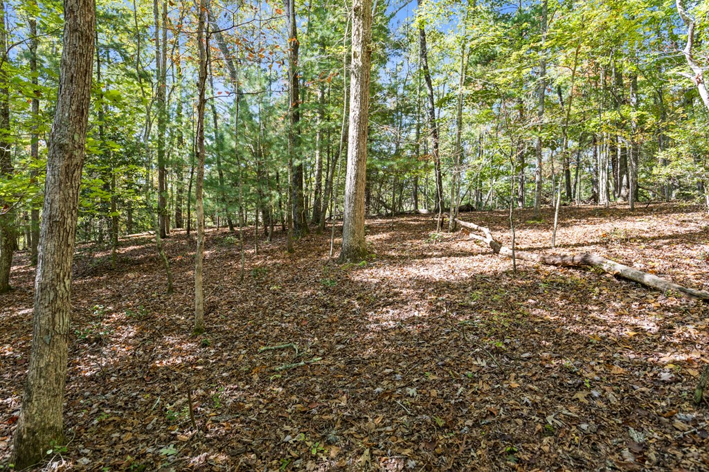 Lot 1-2 Timberlake Estates Blue Ridge, GA 30513 - Photo 8 of 20 Gallery Image 8