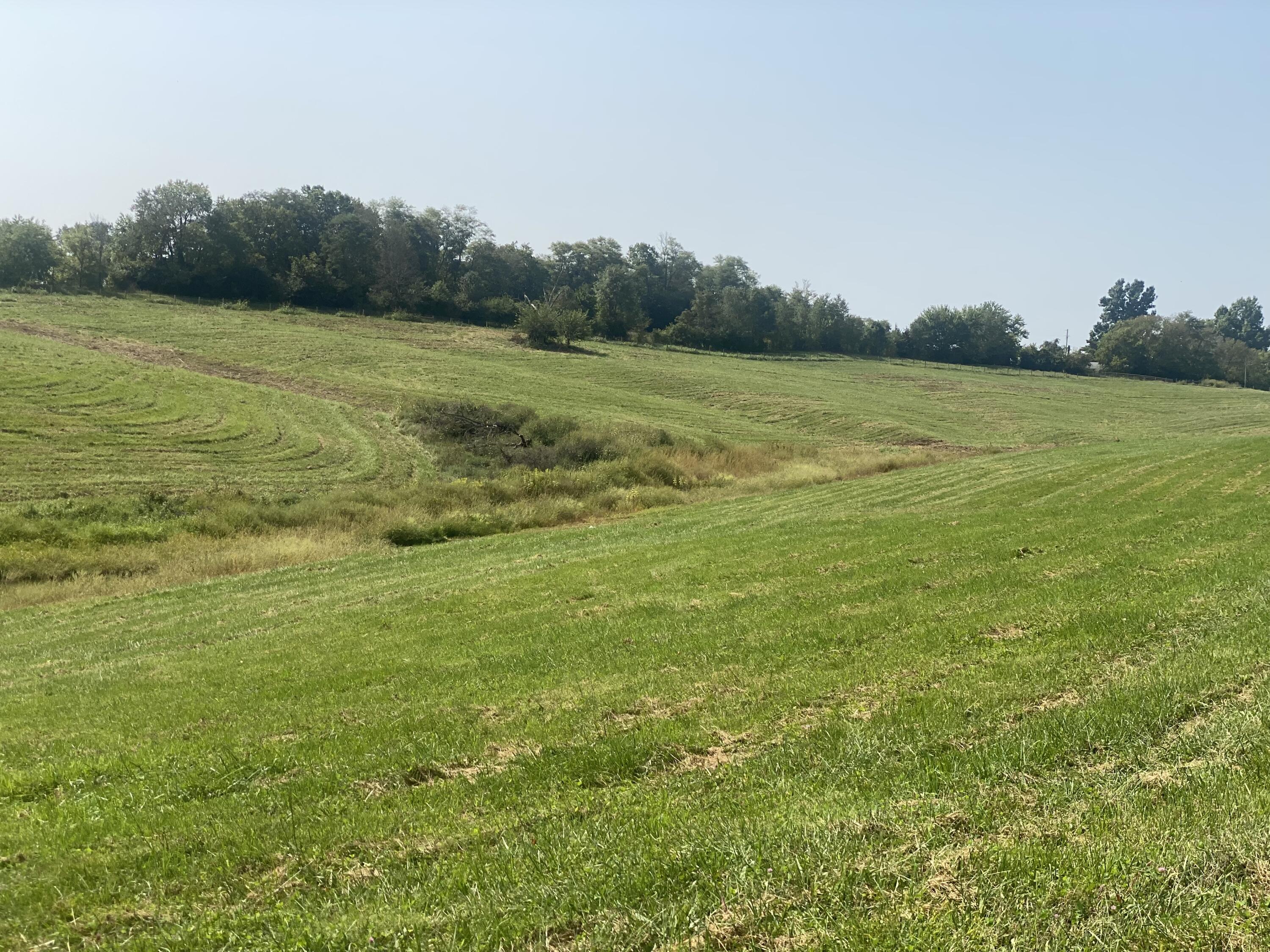 301 Benton Road Mount Sterling, KY 40353 - Photo 3 of 7 9AF68313-EA85-49E6-9790-B02478145C82