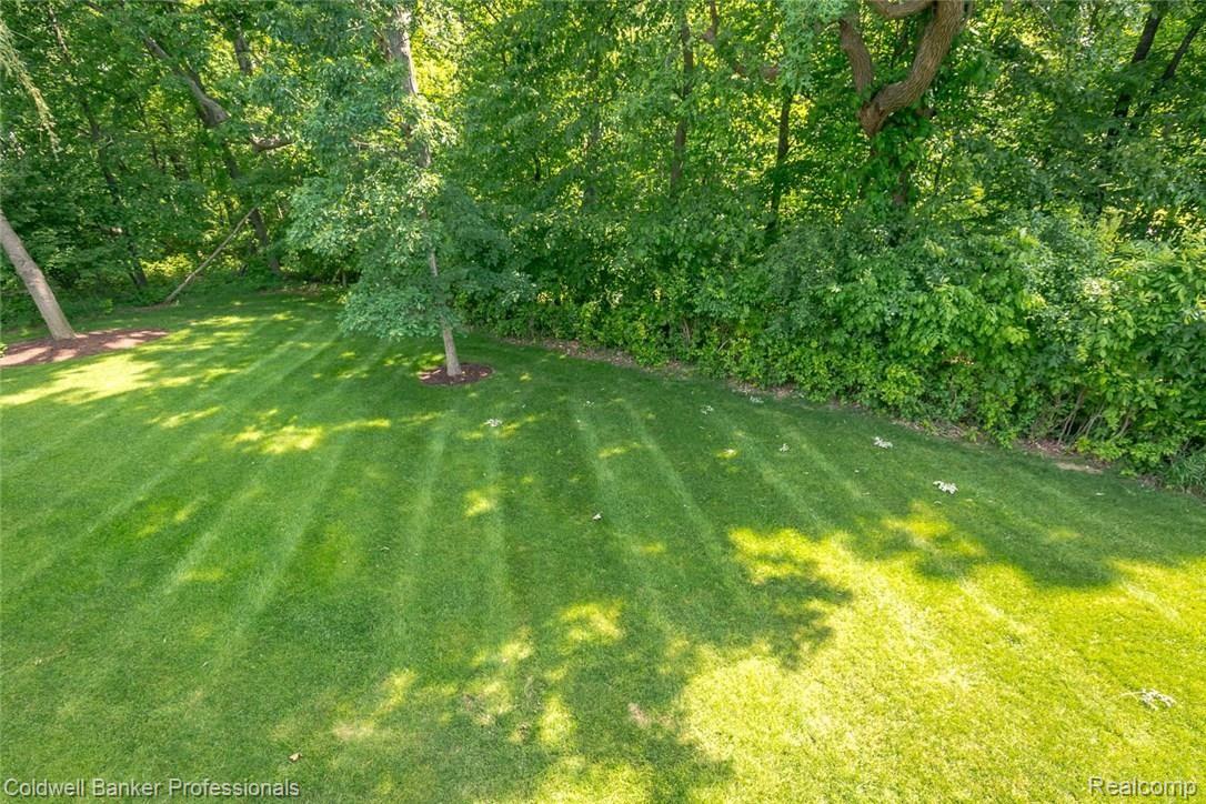 5329 Keswick Court Rochester, MI 48306 - Photo 18 of 64 View from Sun room off of deck!