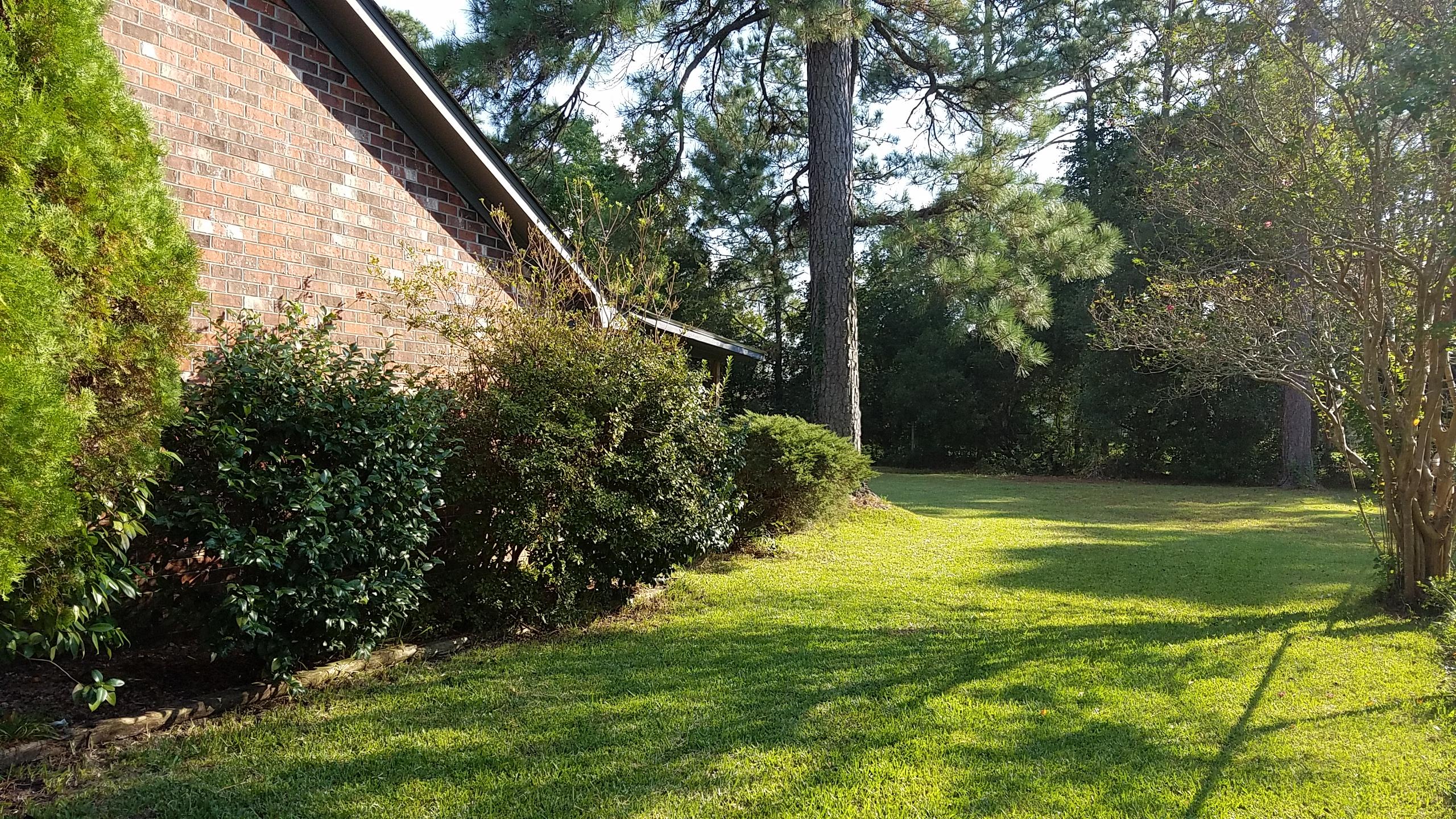 207 Ruffin Road Summerville, SC 29486 - Photo 2 of 13 20160929_165013
