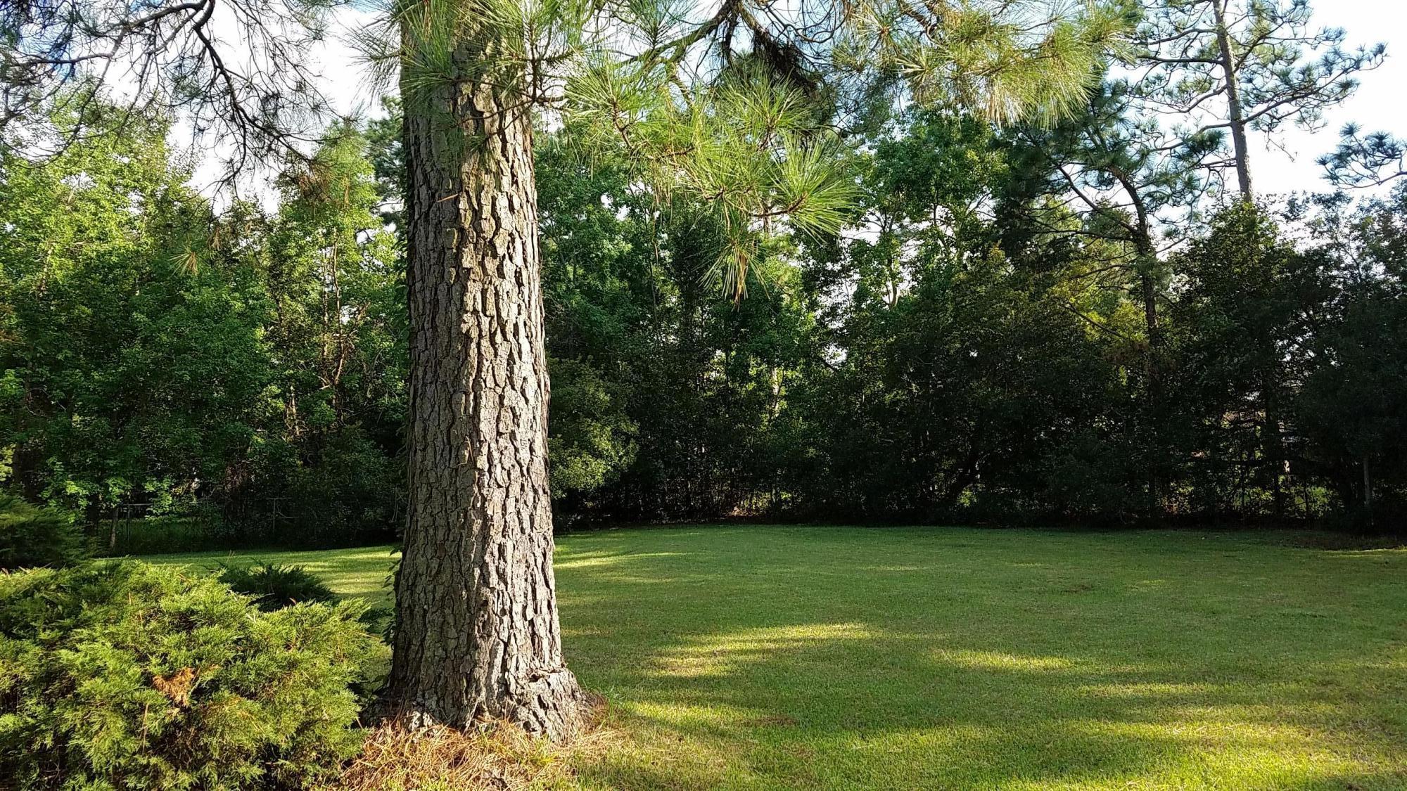 207 Ruffin Road Summerville, SC 29486 - Photo 11 of 13 20160929_164649