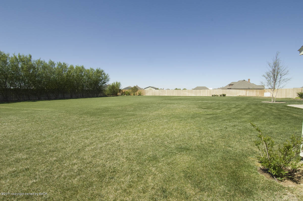 19251 Winding River Road Amarillo, TX 79119 - Photo 44 of 57 back yard 5