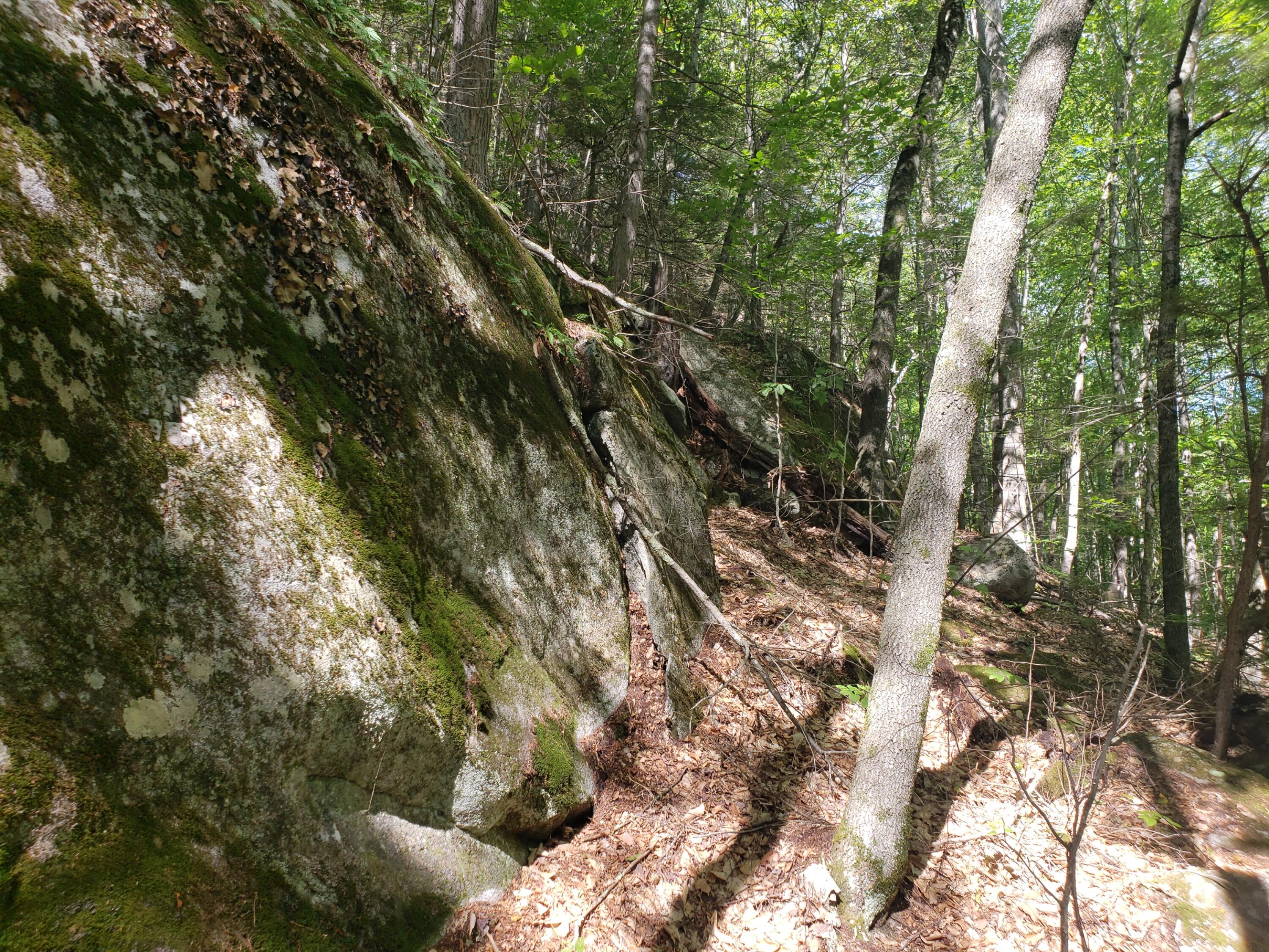 0 Off Mountain Stoneham, ME 04231 - Photo 23 of 32 lower ledge front