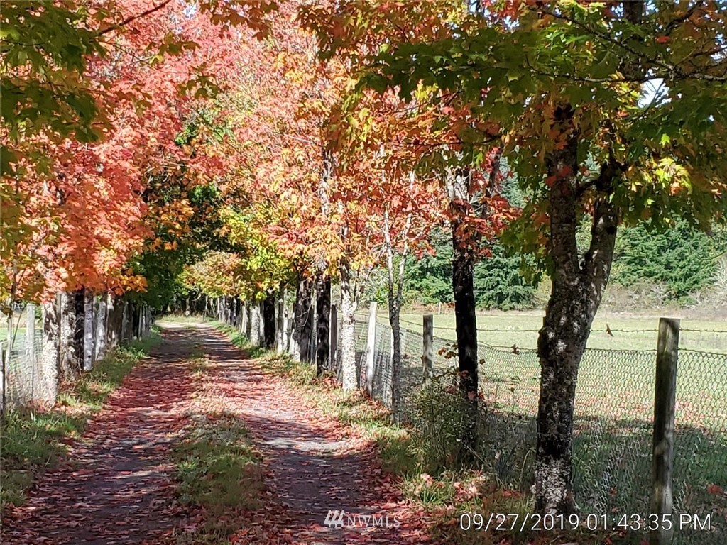 793 Rhoades Road Winlock, WA 98596 - Photo 15 of 24 a backyard of a house with lots of green space