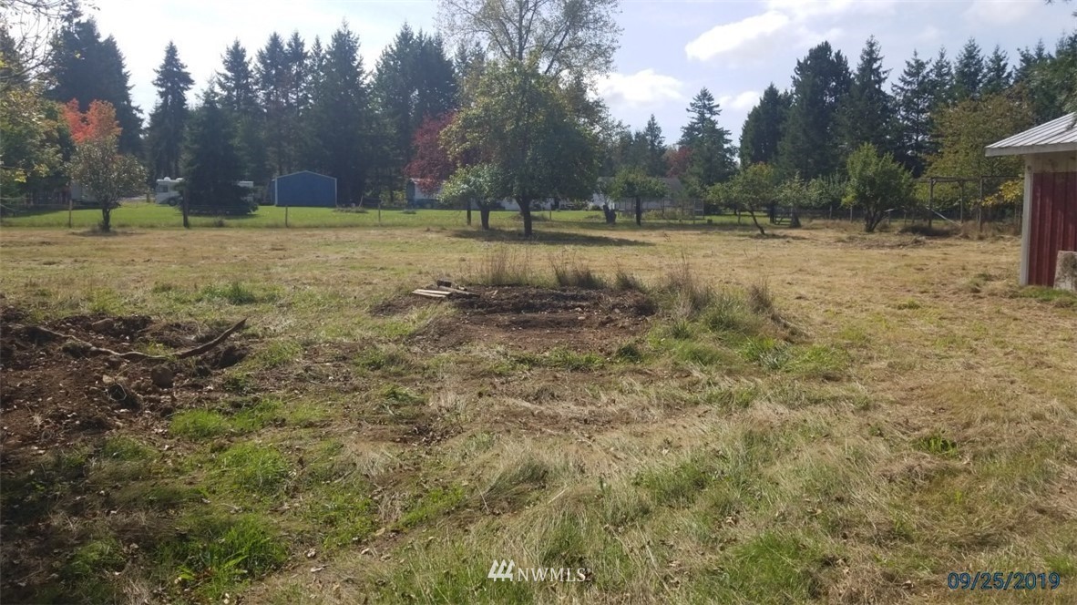 793 Rhoades Road Winlock, WA 98596 - Photo 4 of 24 a view of a yard with trees