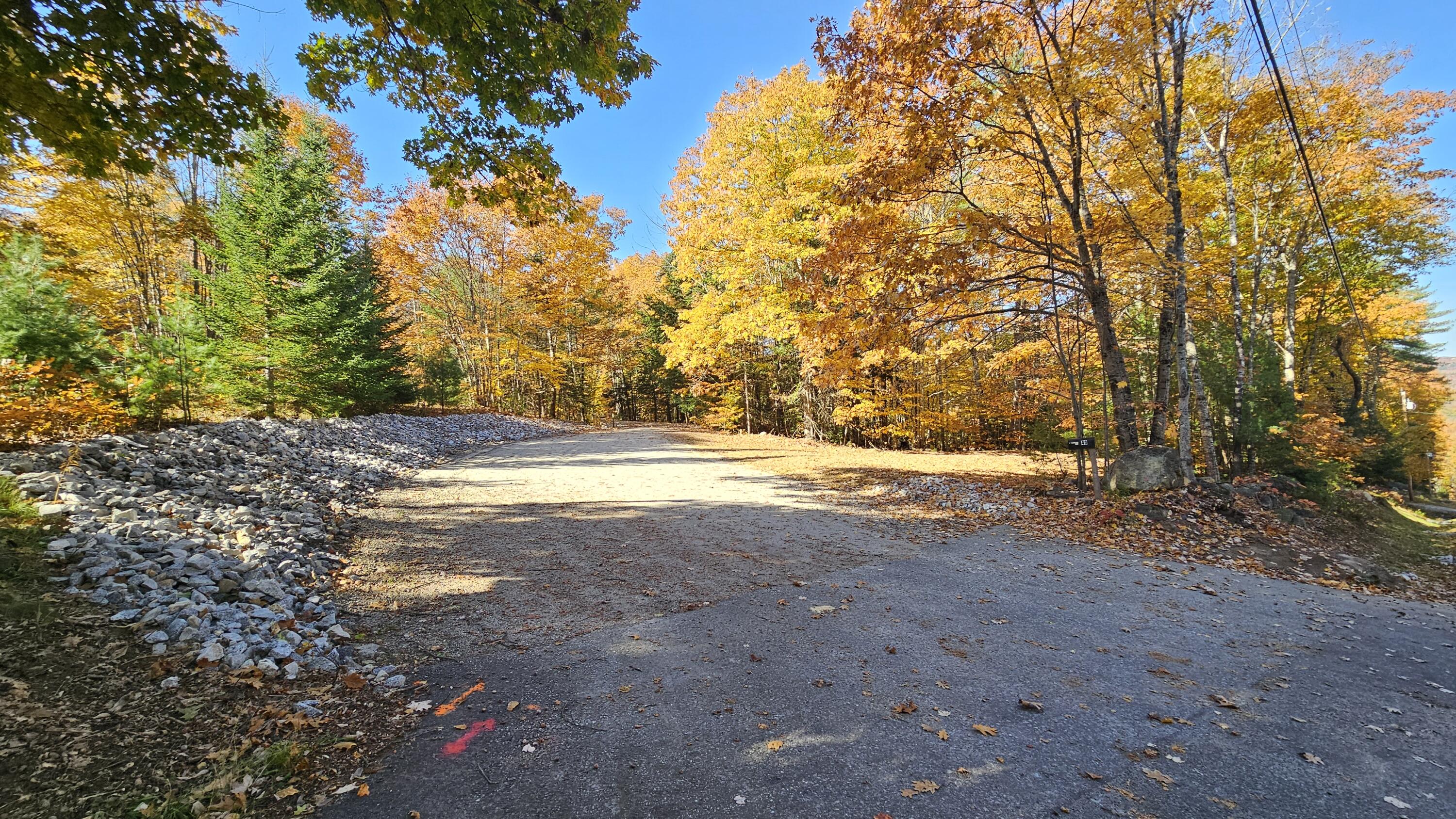 43 Maple Ridge Road Harrison, ME 04040 - Photo 17 of 86 20241022_112313