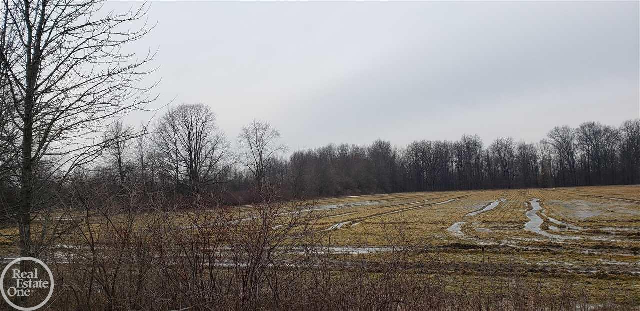 0 Meldrum Road Casco, MI 48064 - Photo 3 of 5