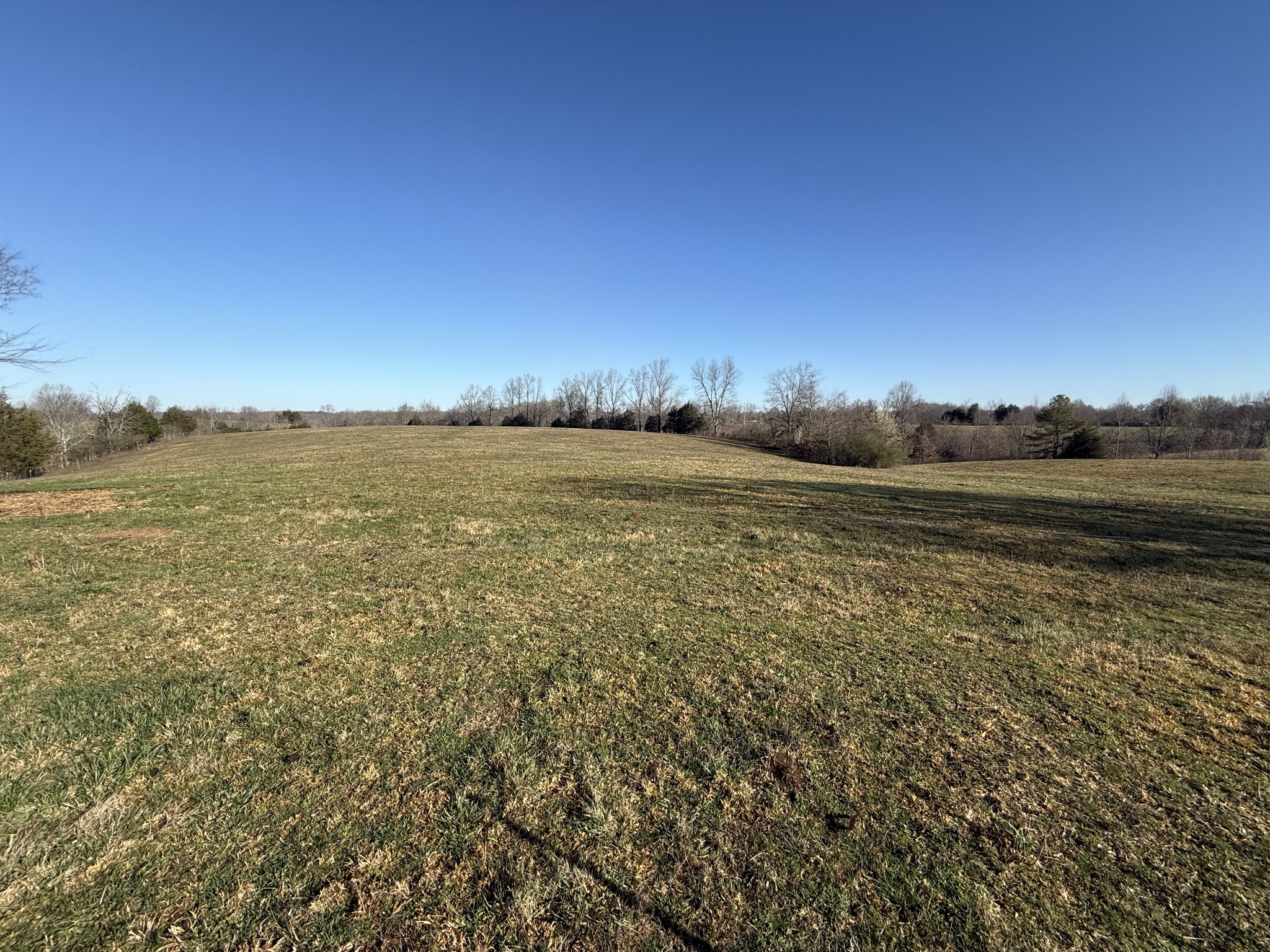609 Clax Branch Road Loretto, TN 38469 - Photo 15 of 47 Gallery Image 15