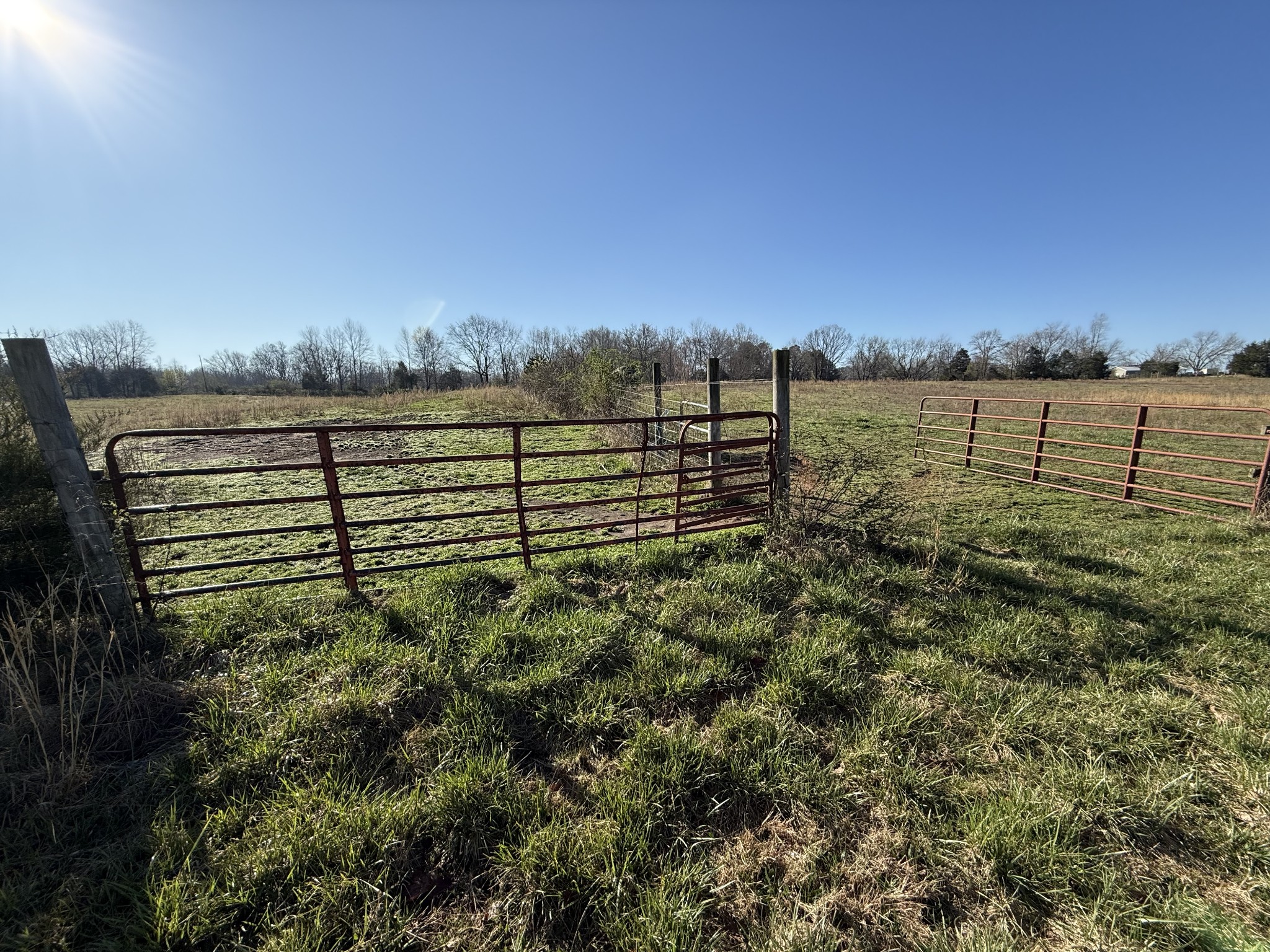 609 Clax Branch Road Loretto, TN 38469 - Photo 16 of 47 Gallery Image 16