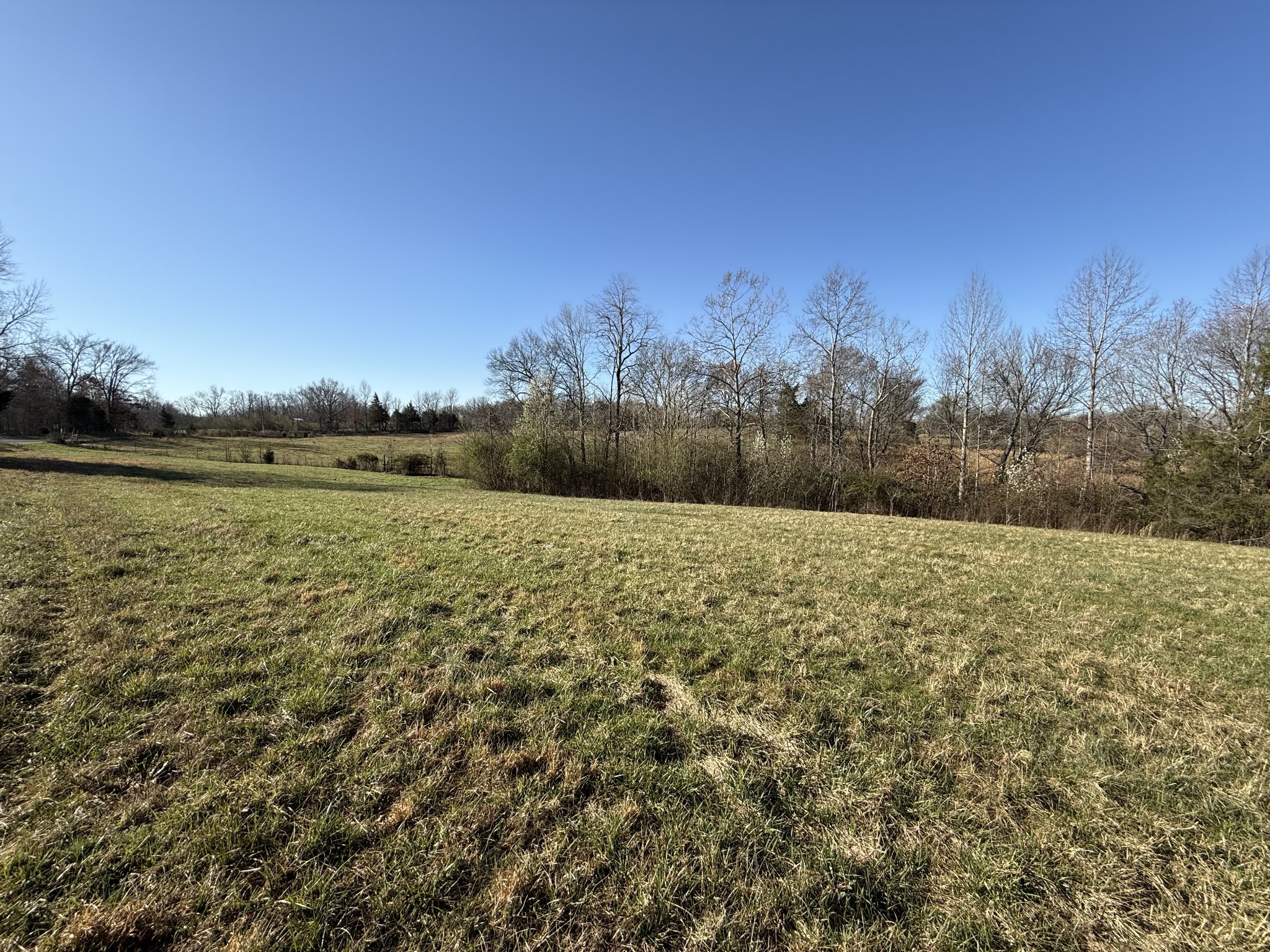609 Clax Branch Road Loretto, TN 38469 - Photo 23 of 47 Gallery Image 23