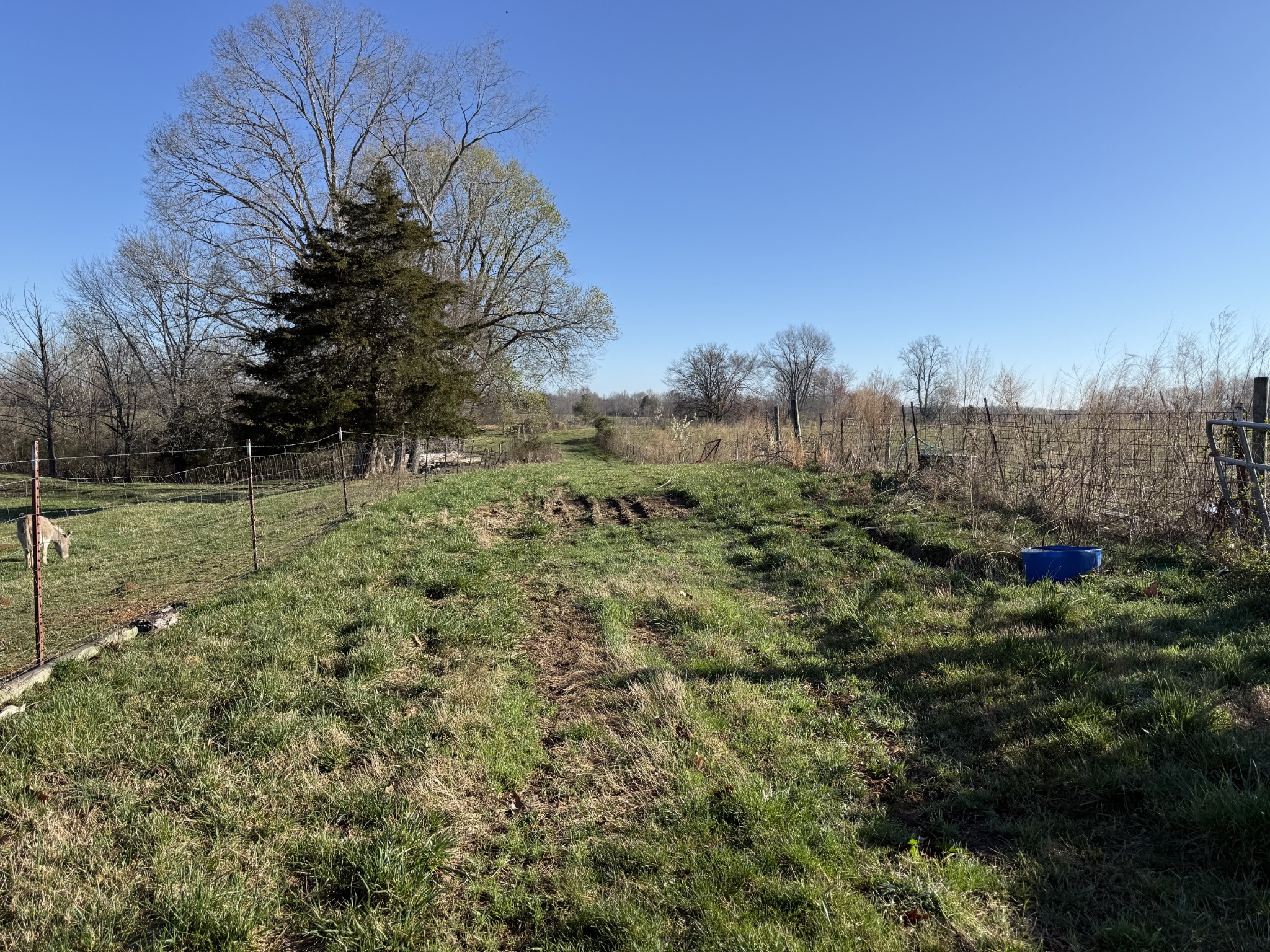 609 Clax Branch Road Loretto, TN 38469 - Photo 43 of 47 Gallery Image 43