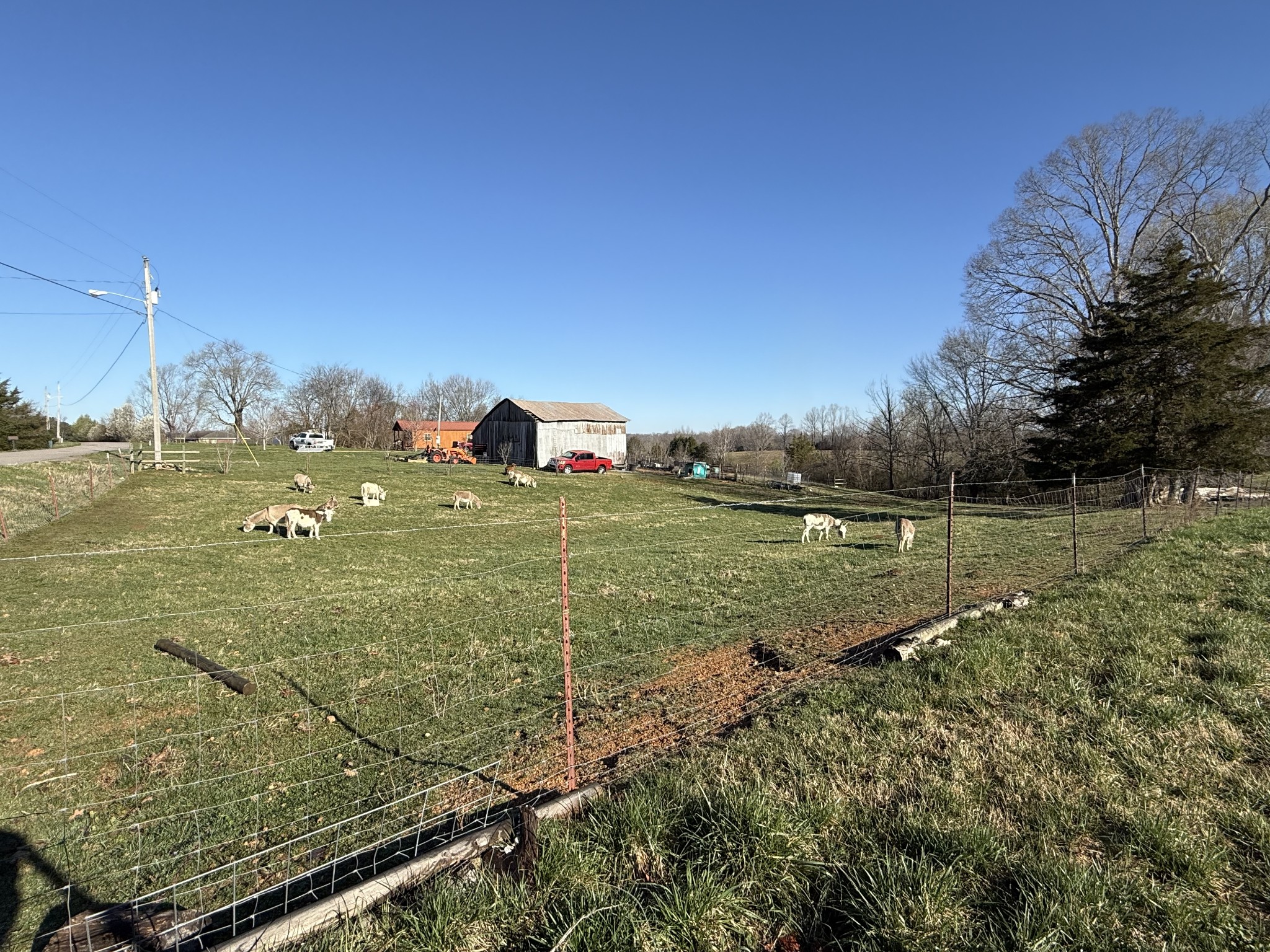 609 Clax Branch Road Loretto, TN 38469 - Photo 44 of 47 Gallery Image 44