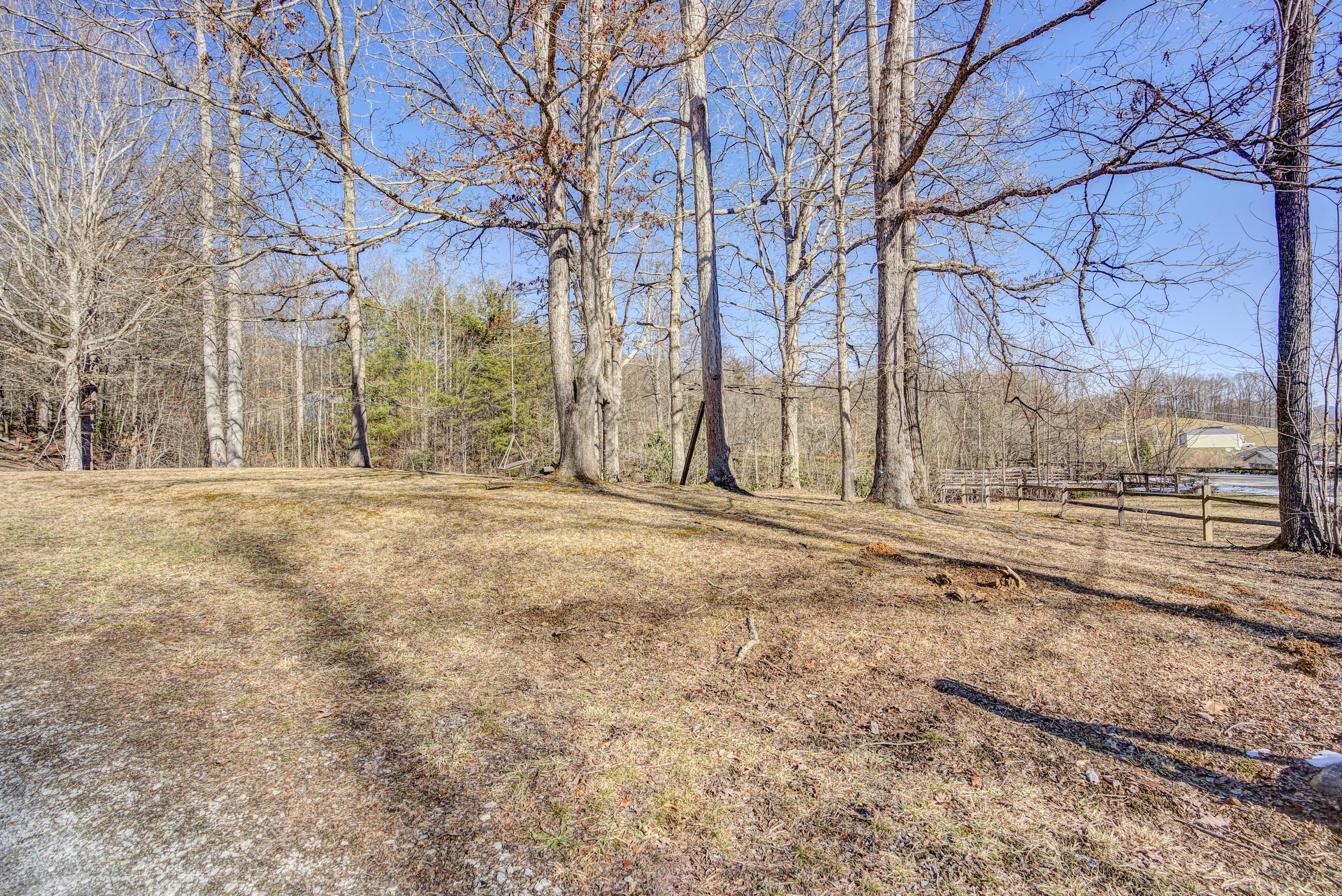 274 Escape Mountain Road Hampton, TN 37658 - Photo 40 of 50 Wooded area