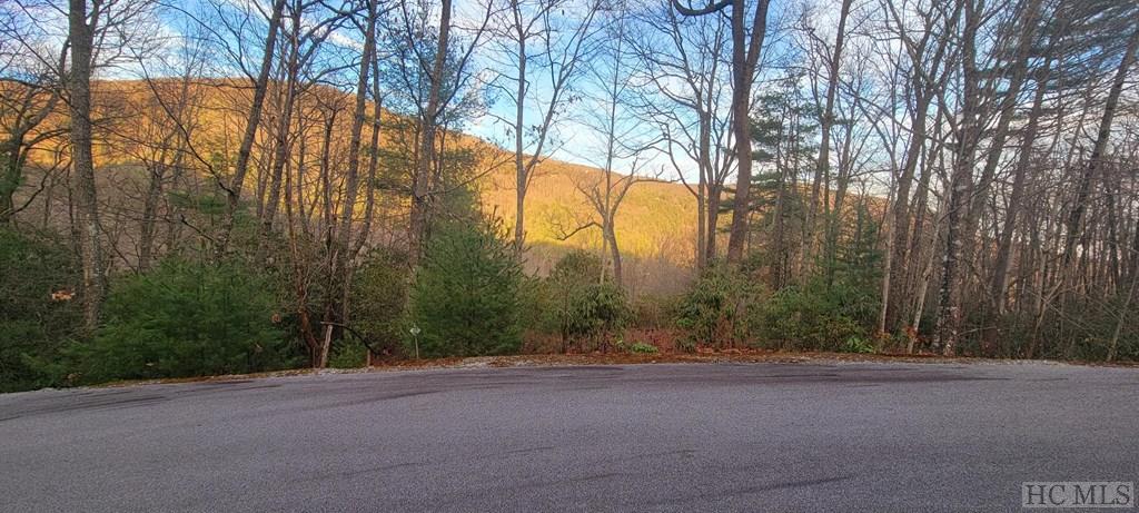 Lot 22 Sapphire Ridge Road Sapphire, NC 28774 - Photo 3 of 9 Gallery Image 3