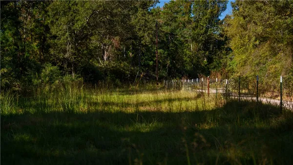 a view of yard