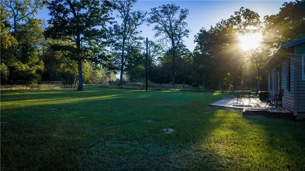 a view of a yard