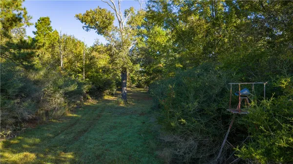 $1,200,000 | 15383 Cr 236 Oakwood Tx 75855, Oakwood, TX 75855