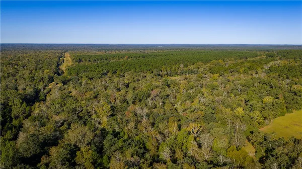 $1,200,000 | 15383 Cr 236 Oakwood Tx 75855, Oakwood, TX 75855