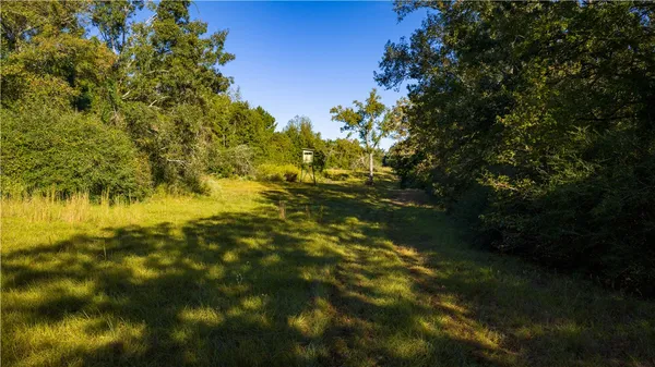 $1,200,000 | 15383 Cr 236 Oakwood Tx 75855, Oakwood, TX 75855