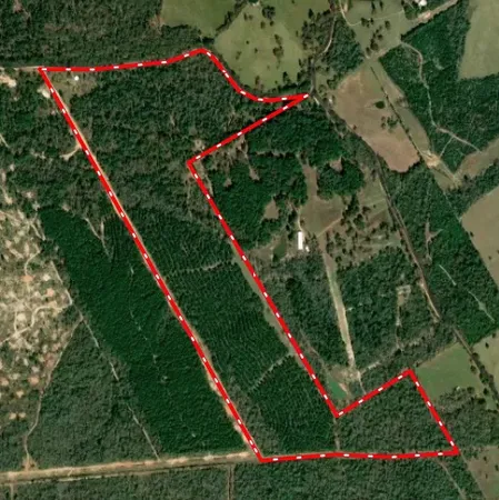 $1,200,000 | 15383 Cr 236 Oakwood Tx 75855, Oakwood, TX 75855