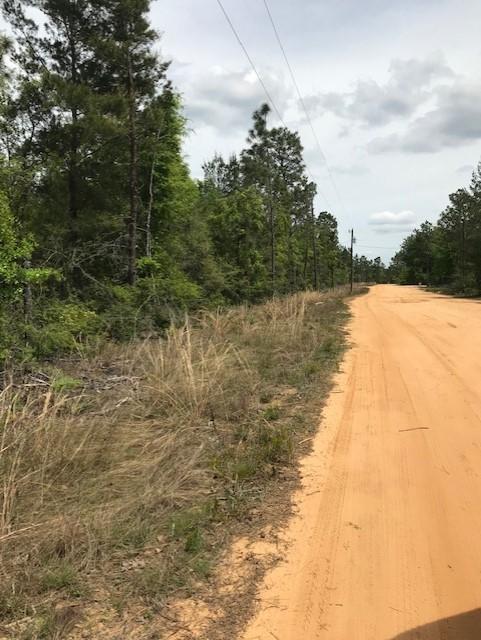 Tbd Randi Road Crestview, FL 32539 - Photo 1 of 5 randi pic 4