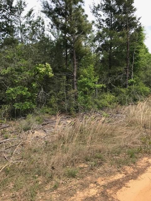 Tbd Randi Road Crestview, FL 32539 - Photo 3 of 5 randi pic 3