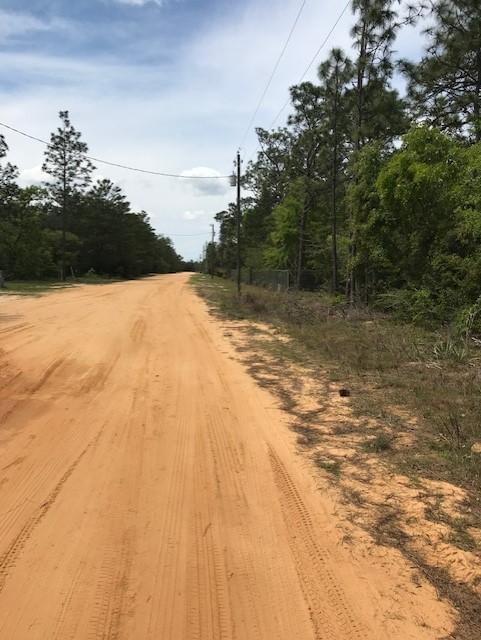 Tbd Randi Road Crestview, FL 32539 - Photo 4 of 5 randi pic 2