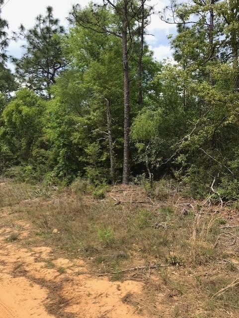 Tbd Randi Road Crestview, FL 32539 - Photo 5 of 5 randi pic 1