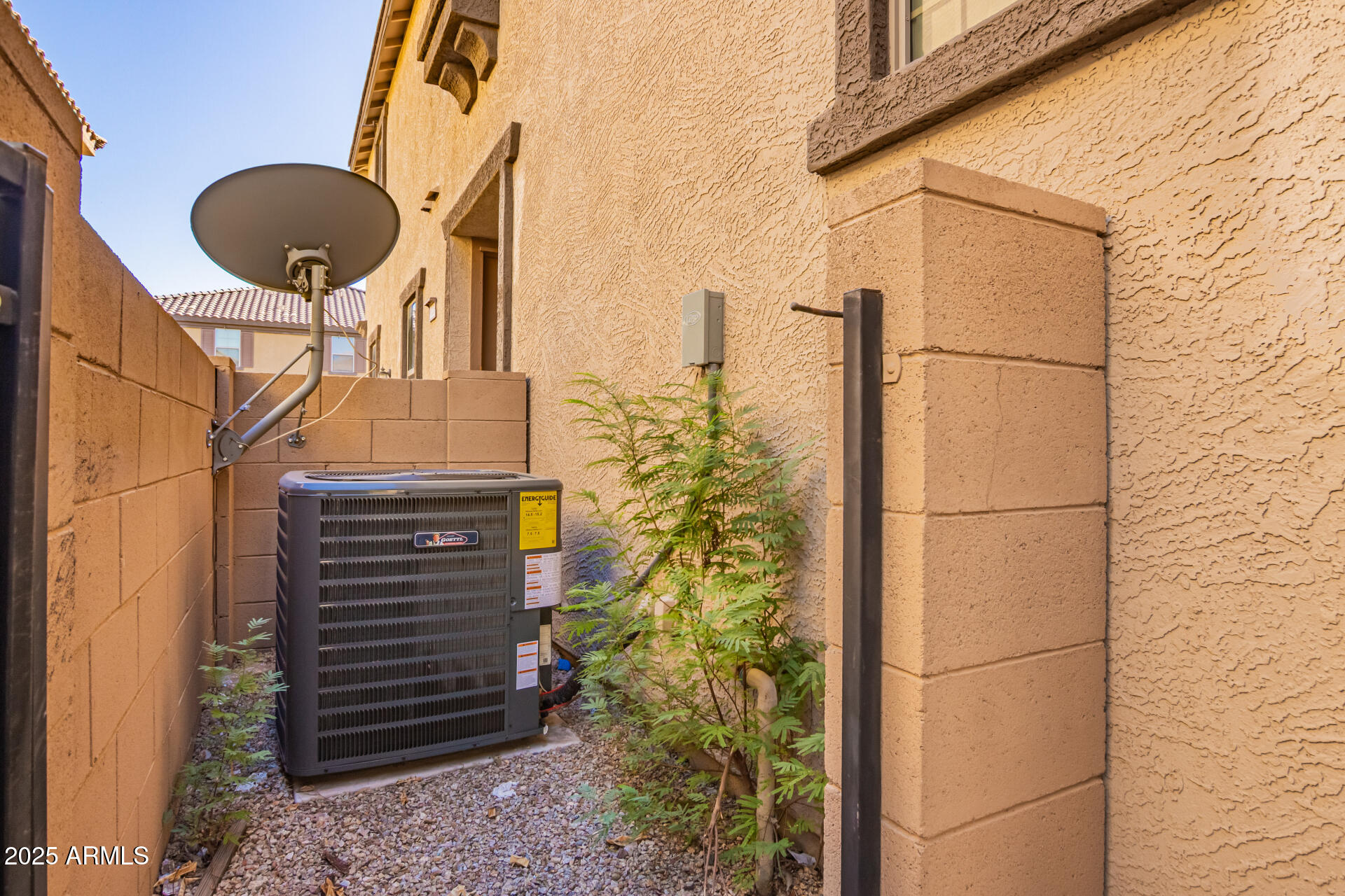 8117 West Groom Creek Road Phoenix, AZ 85043 - Photo 29 of 33 a backyard of a house
