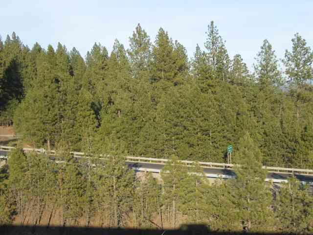 310-424 East Little Spo Connect Colbert, WA 99208 - Photo 7 of 9 Gallery Image 7