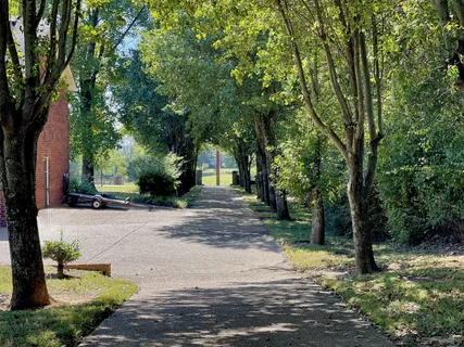 a view of a lake with houses in the back