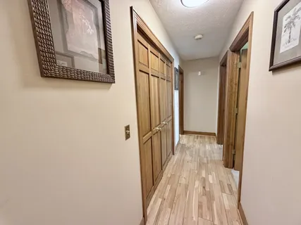 a view of a park with a tree