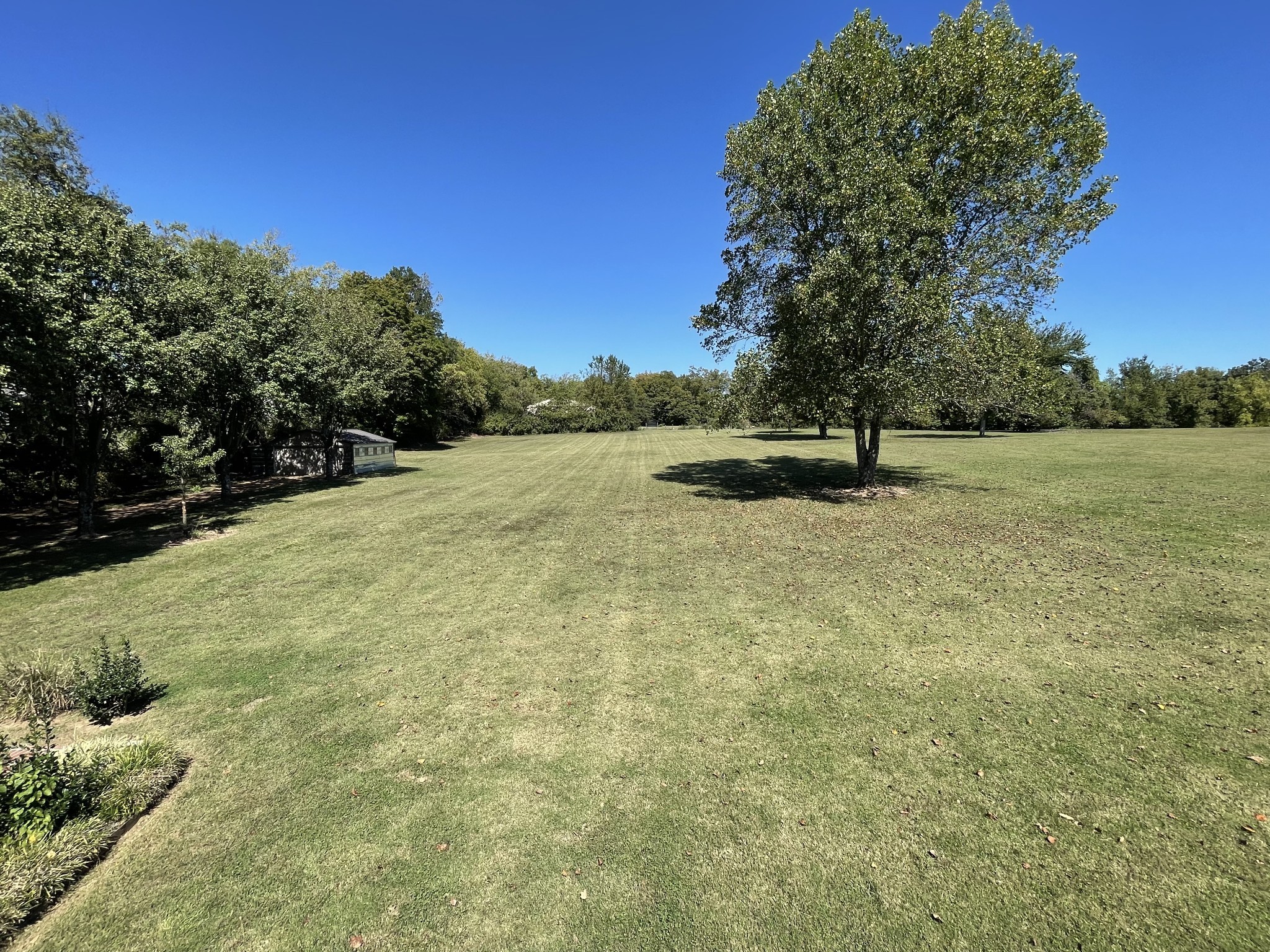 6914 Burkitt Road Antioch, TN 37013 - Photo 68 of 100