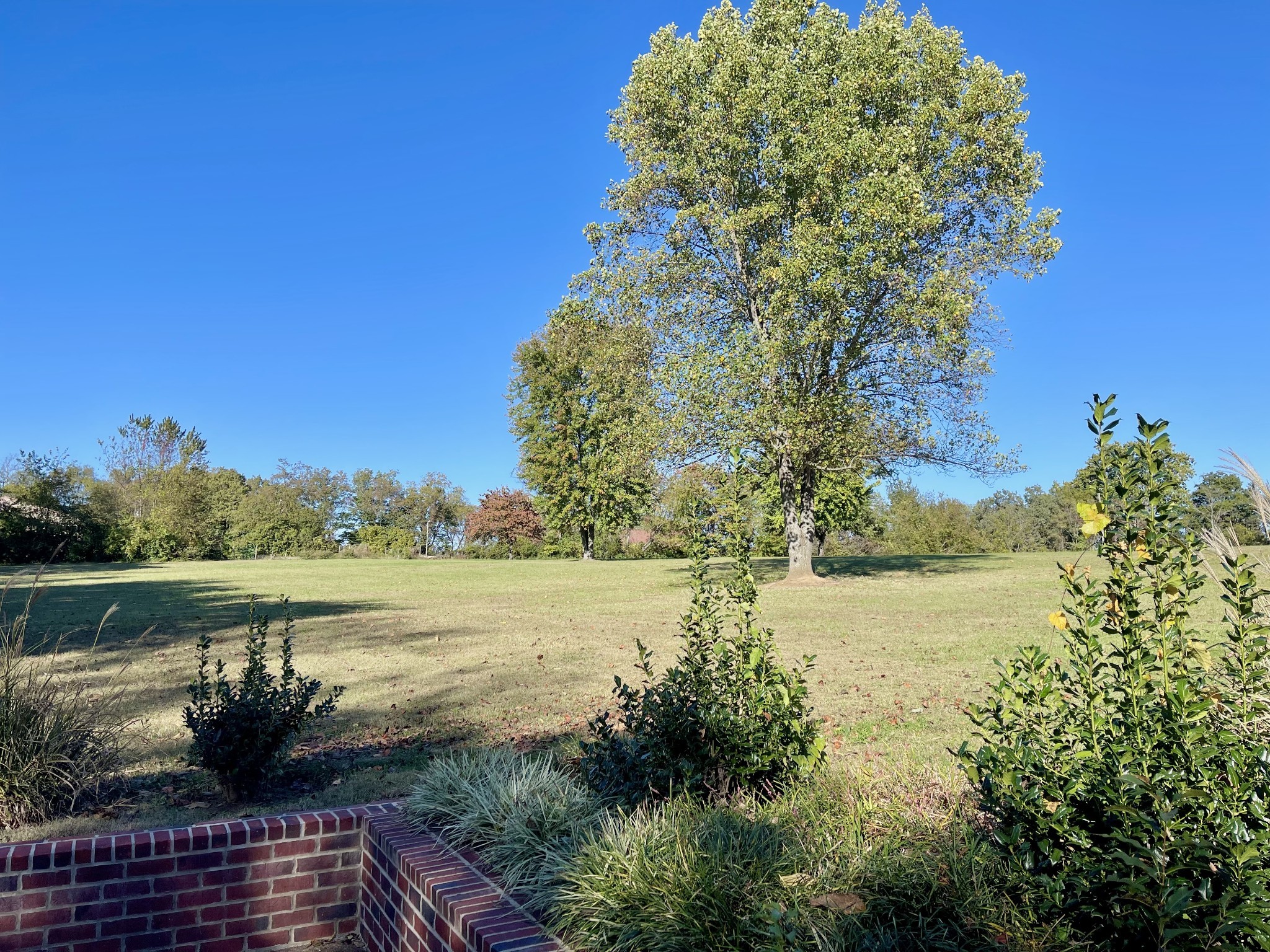 6914 Burkitt Road Antioch, TN 37013 - Photo 75 of 100