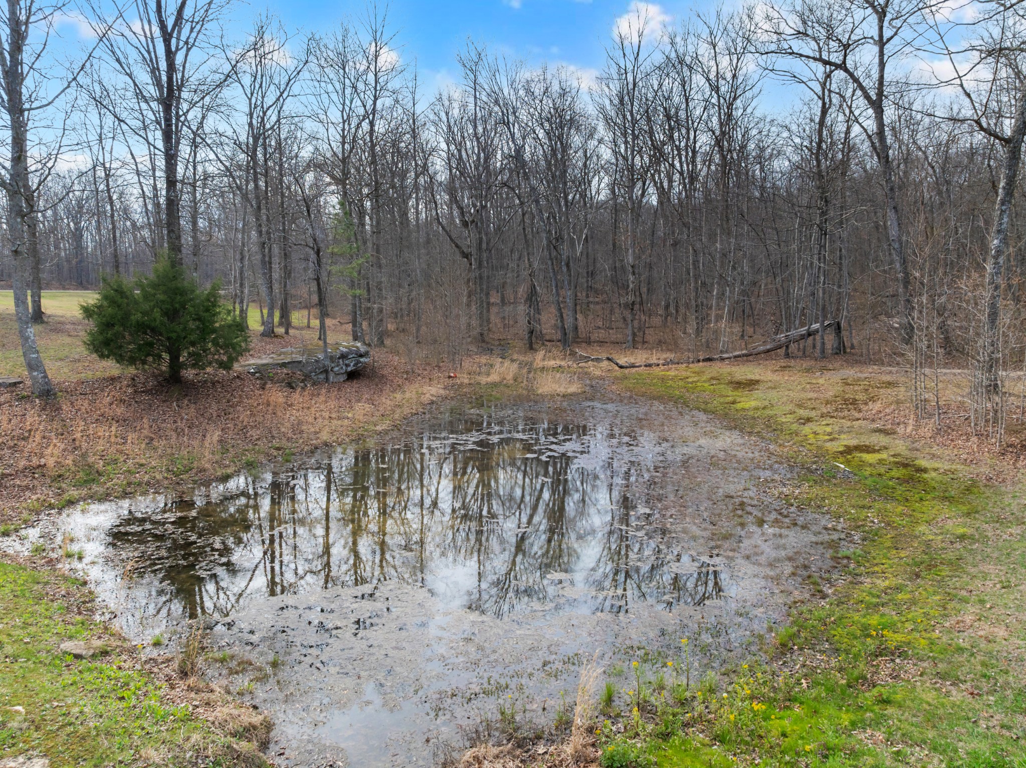 4015 Keith Springs Mountain Road Belvidere, TN 37306 - Photo 37 of 50 a view of a yard with trees in the background