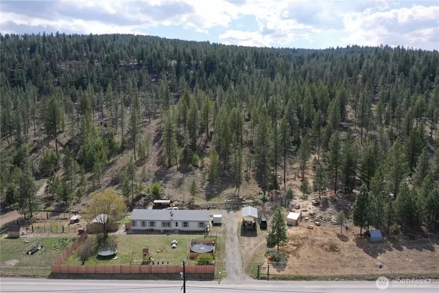 a view of a town with large trees
