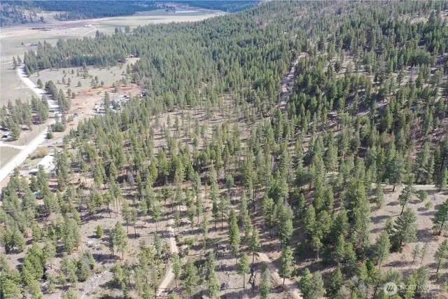 a view of a dry yard with trees and bushes