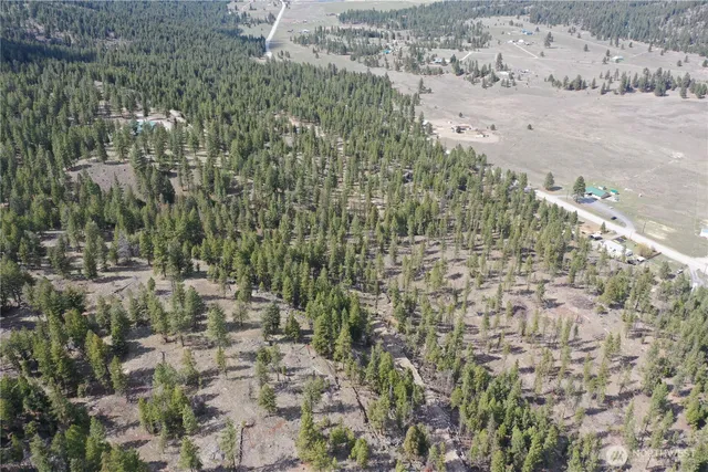 a view of a yard with plants and trees