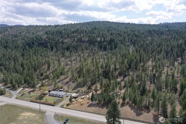 a view of a trees in a field