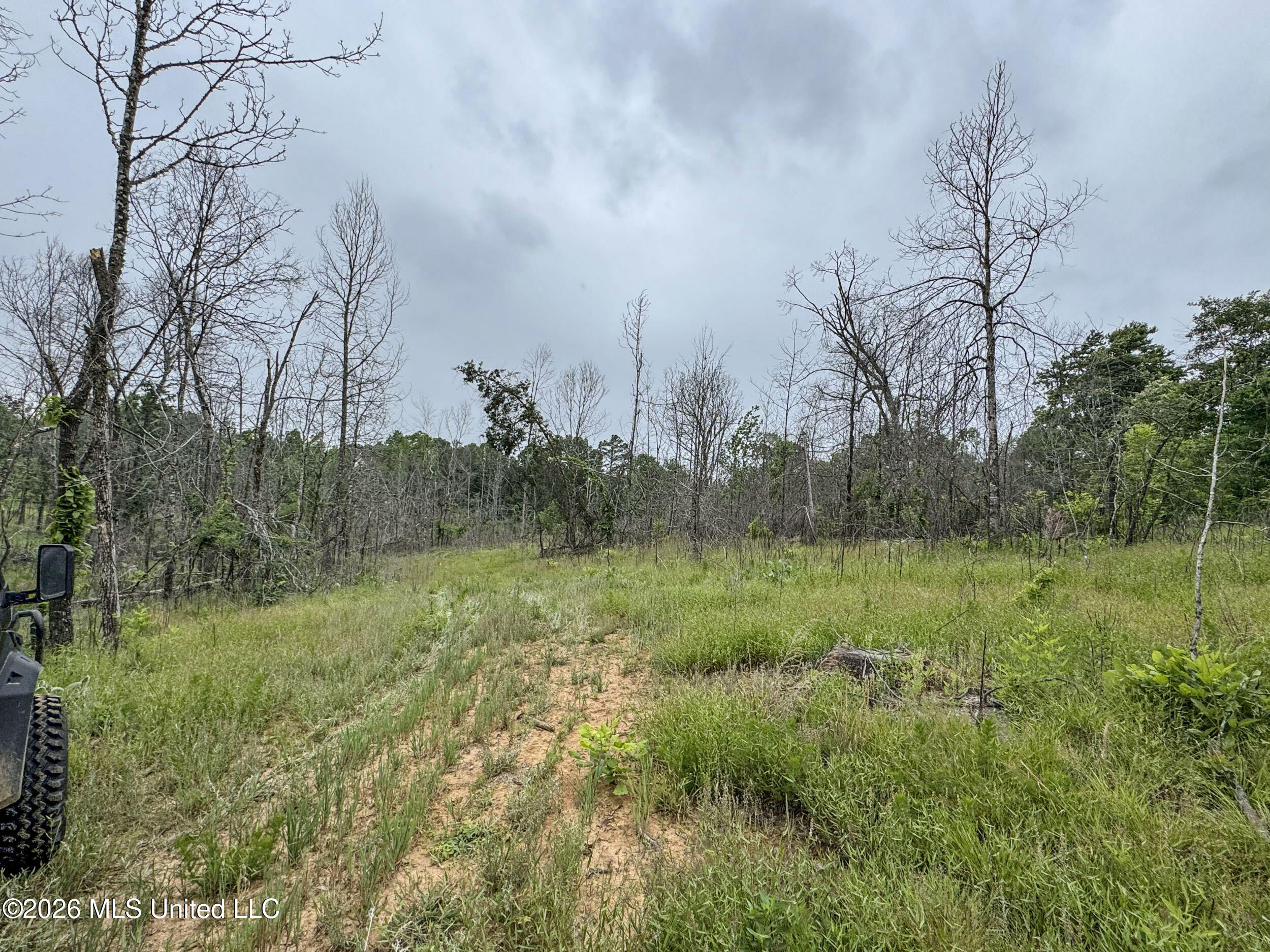 Wayne Massie Road Como, MS 38619 - Photo 177 of 184 5cdtbs127