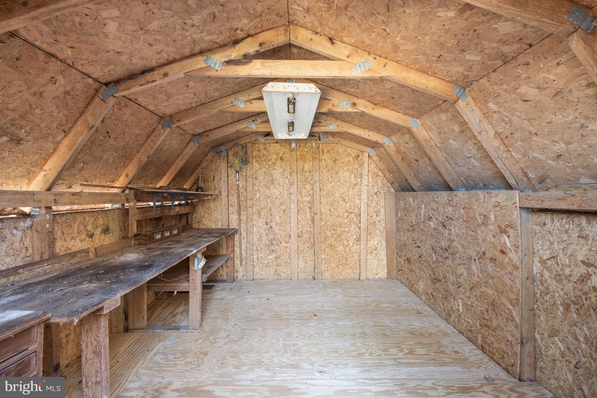 3302 Rutgers Street Hyattsville, MD 20783 - Photo 16 of 18 Large detached shed with new floor!