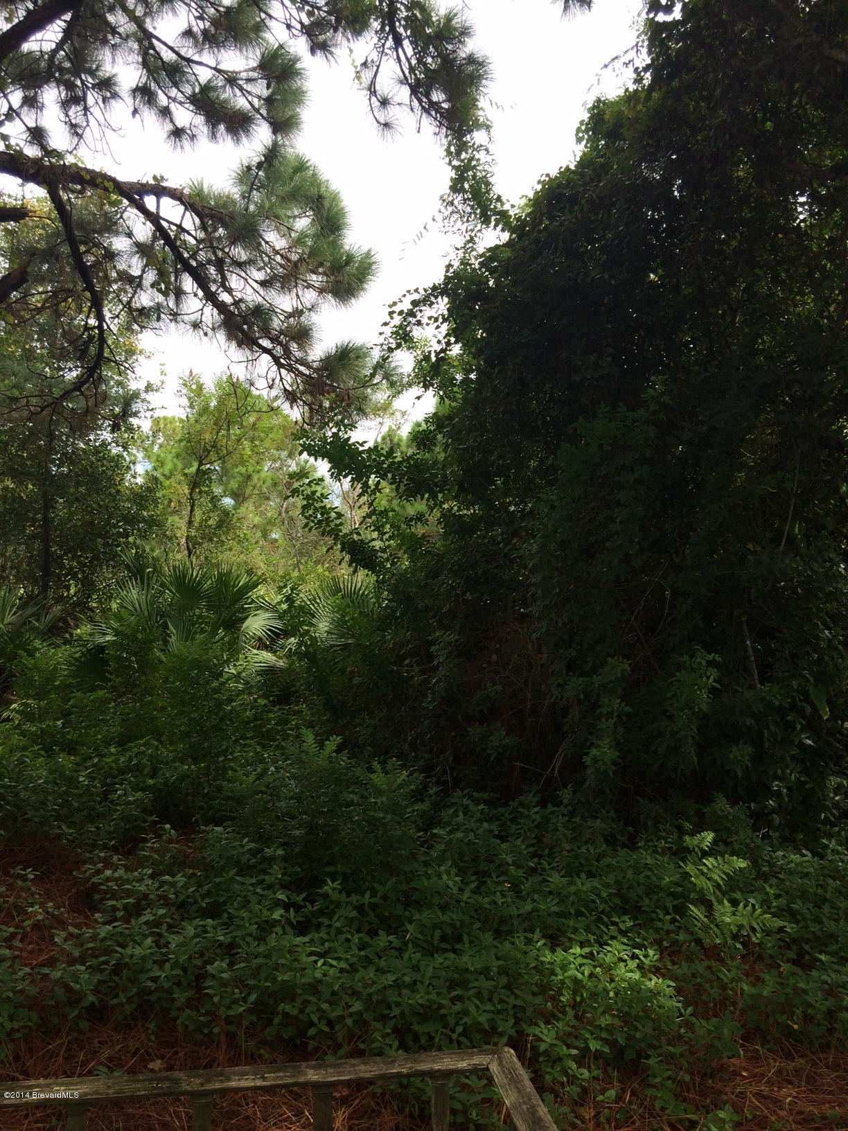 2529 Amberly Road Northeast Palm Bay, FL 32905 - Photo 16 of 21 Yard2