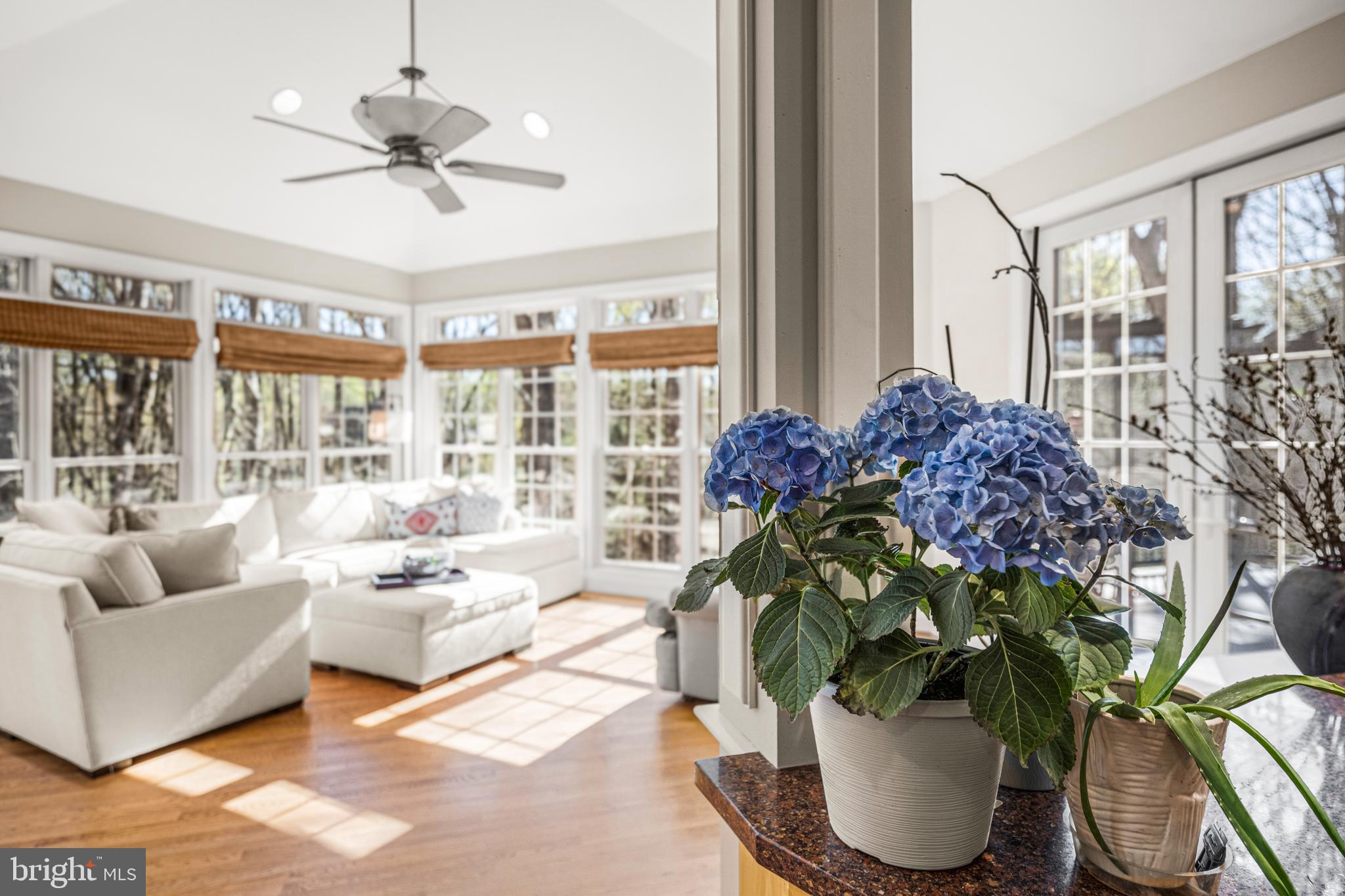 1206 Crystal Ridge Road Marriottsville, MD 21104 - Photo 32 of 72 a living room with furniture and a potted plant