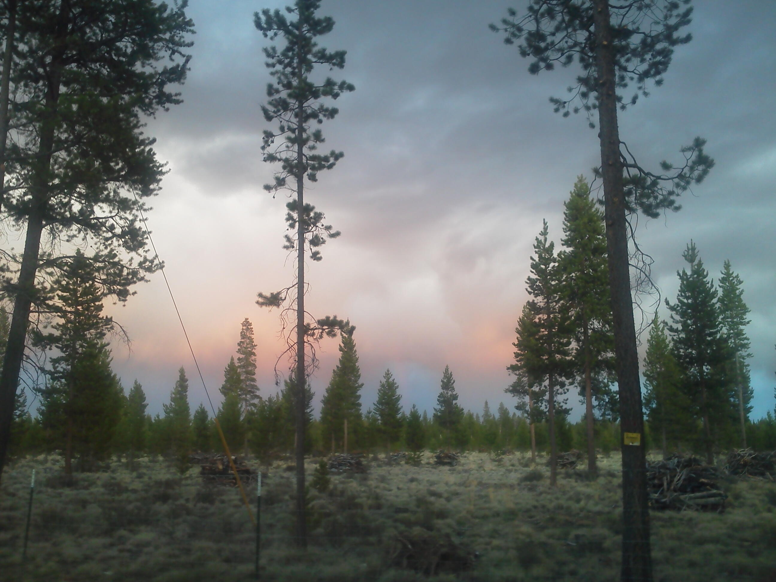 9241 Split Rail Road La Pine, OR 97739 - Photo 57 of 57 Nature