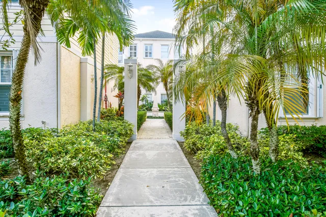 a view of a pathway with a palm trees