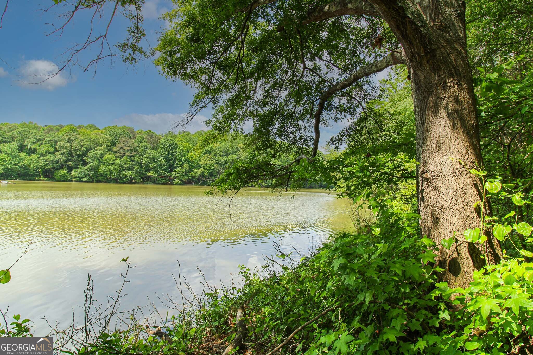 0 McCarty Road Statham, GA 30666 - Photo 1 of 18