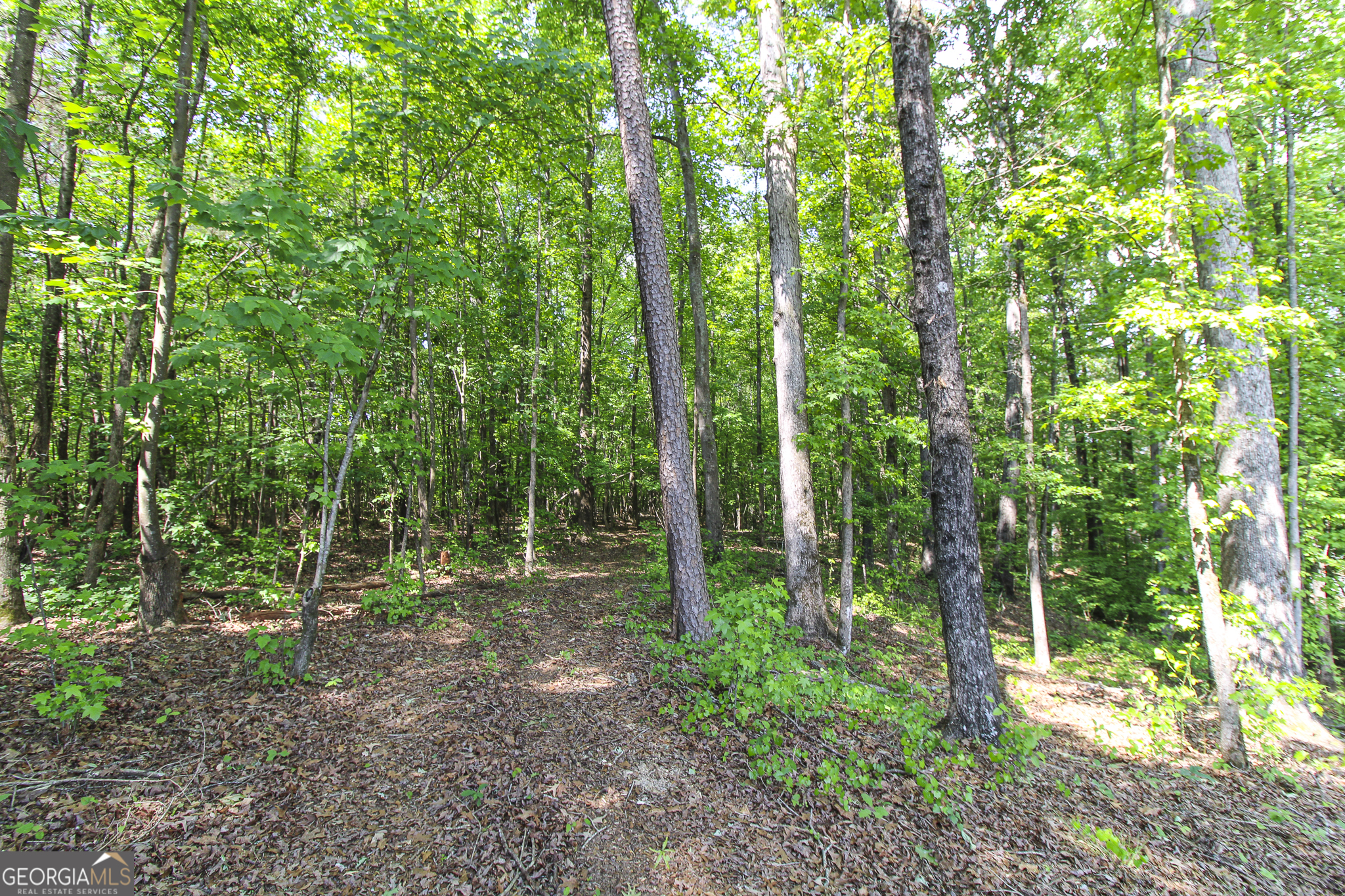 0 McCarty Road Statham, GA 30666 - Photo 17 of 18
