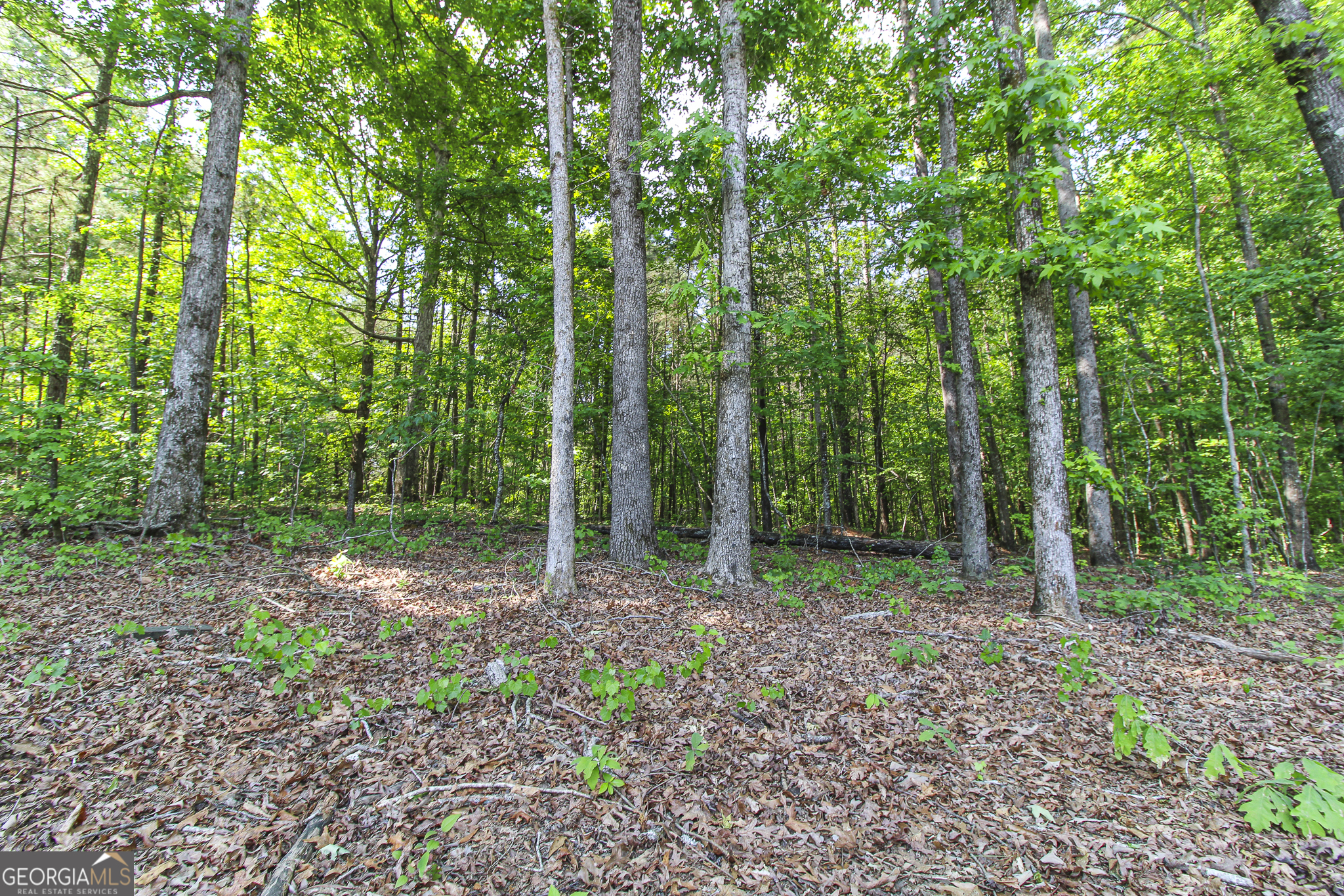 0 McCarty Road Statham, GA 30666 - Photo 18 of 18